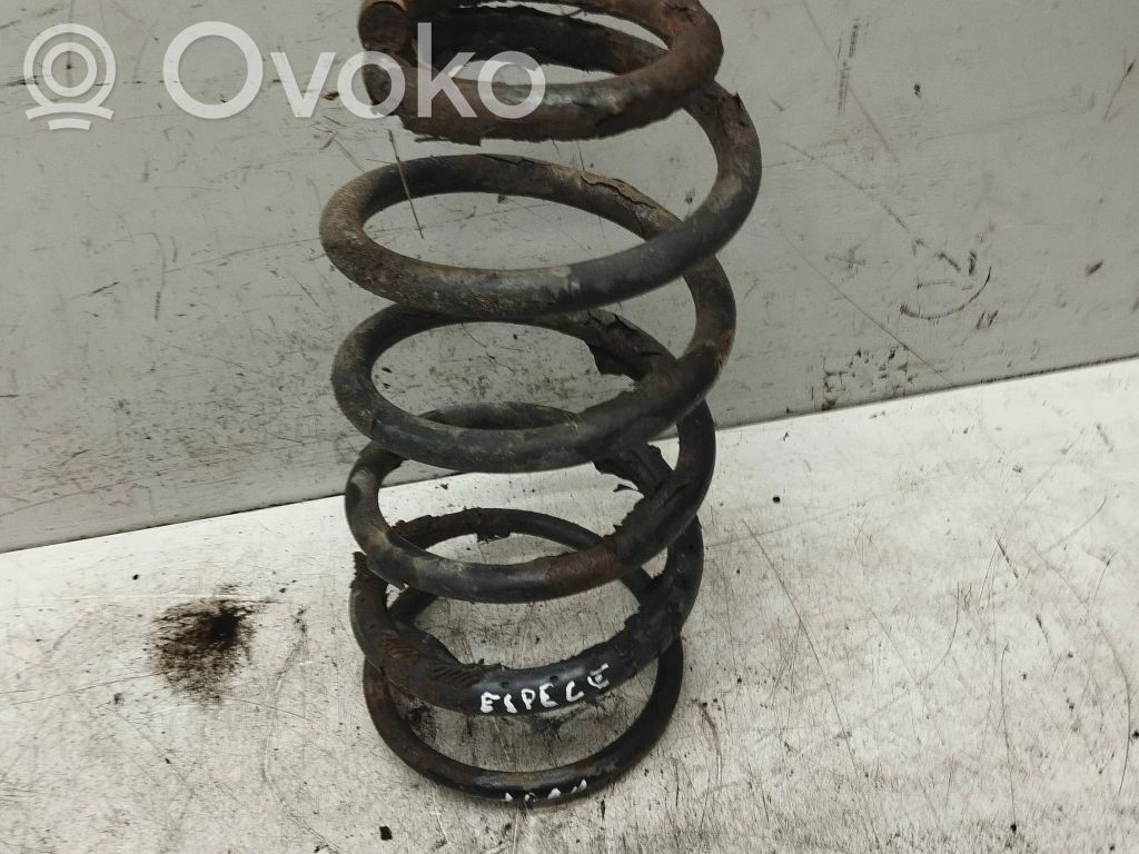 Rear coil spring