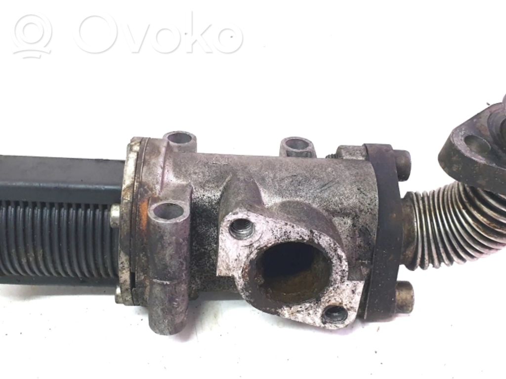 EGR valve