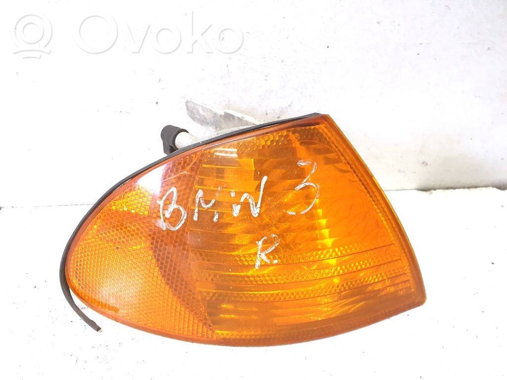 BMW 3 E46 Front fender indicator light 