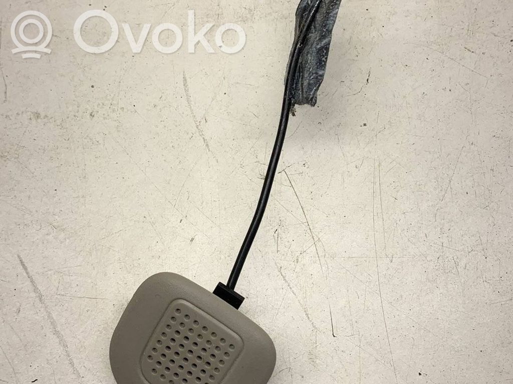 Chrysler Pacifica Microphone (bluetooth/phone) 
