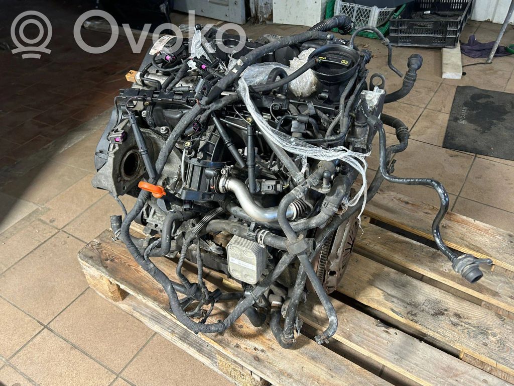 Volkswagen PASSAT B7 Dzinējs 
