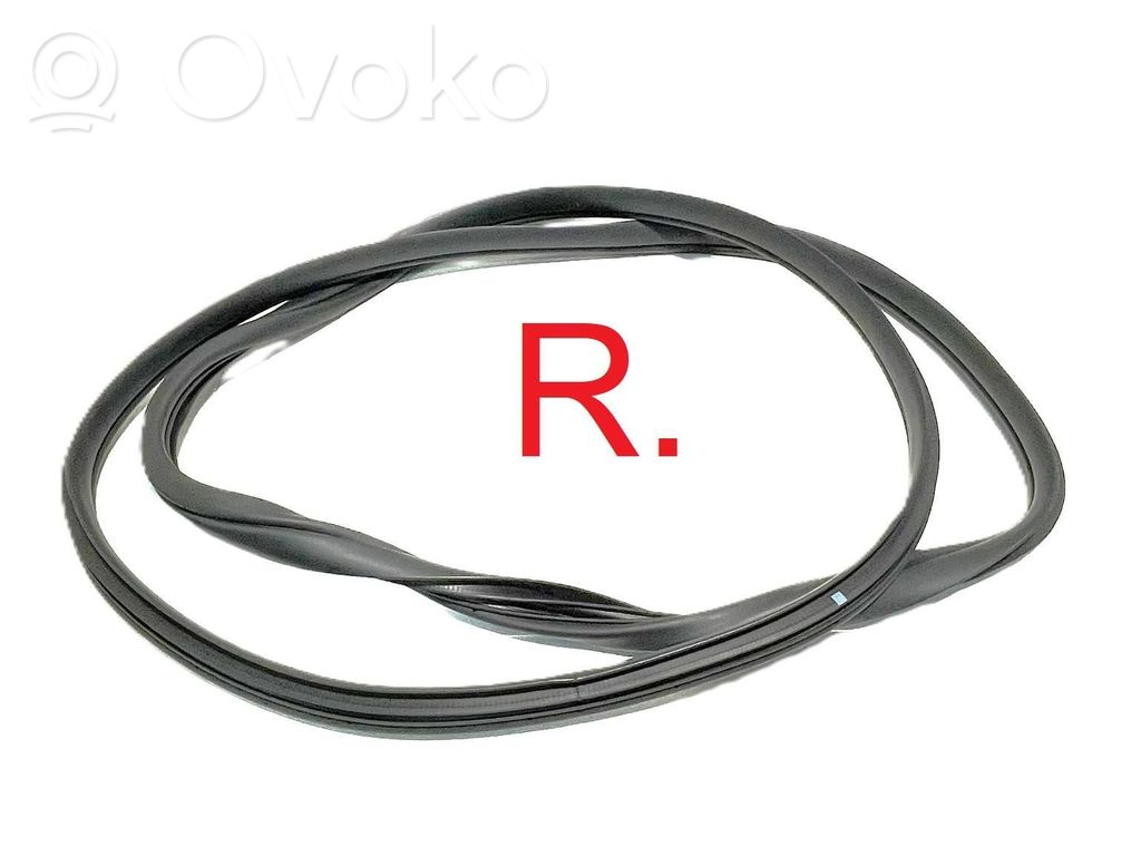 KIA EV6 Front door rubber seal 