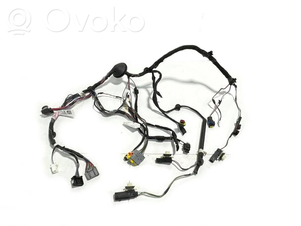 Tesla Model X Cableado de puerta trasera 