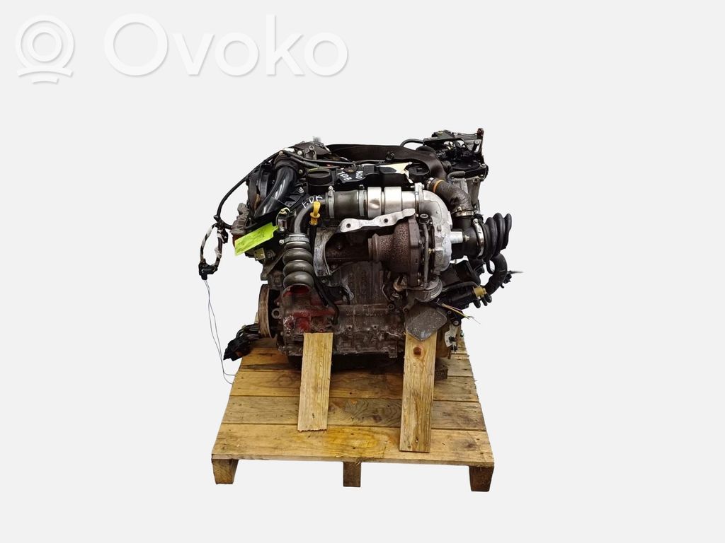 Ford Focus Engine 