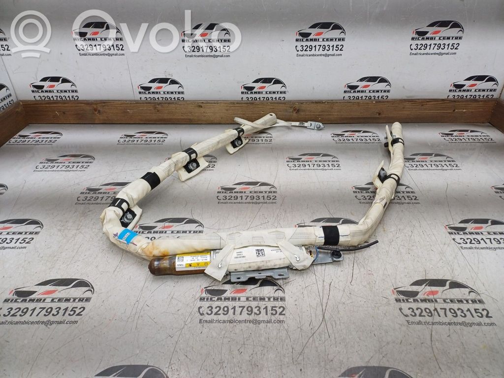 Ford Focus Airbag del techo 