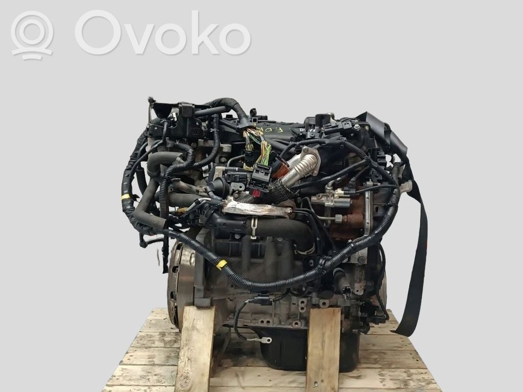 Variklis   36050299,103636KM,115CV,36001413,36001473,36001727,36001728,36001729,36010147,36050299,36050493,8252346,D4162T
