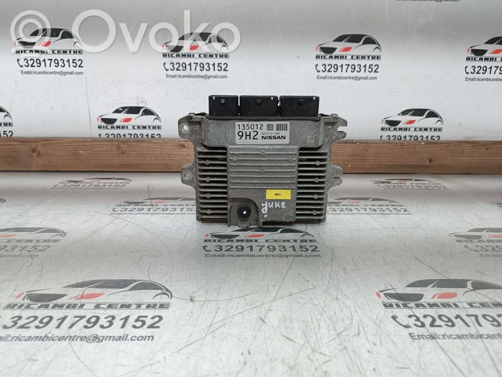 Nissan Juke I F15 Centralina/modulo motore ECU 