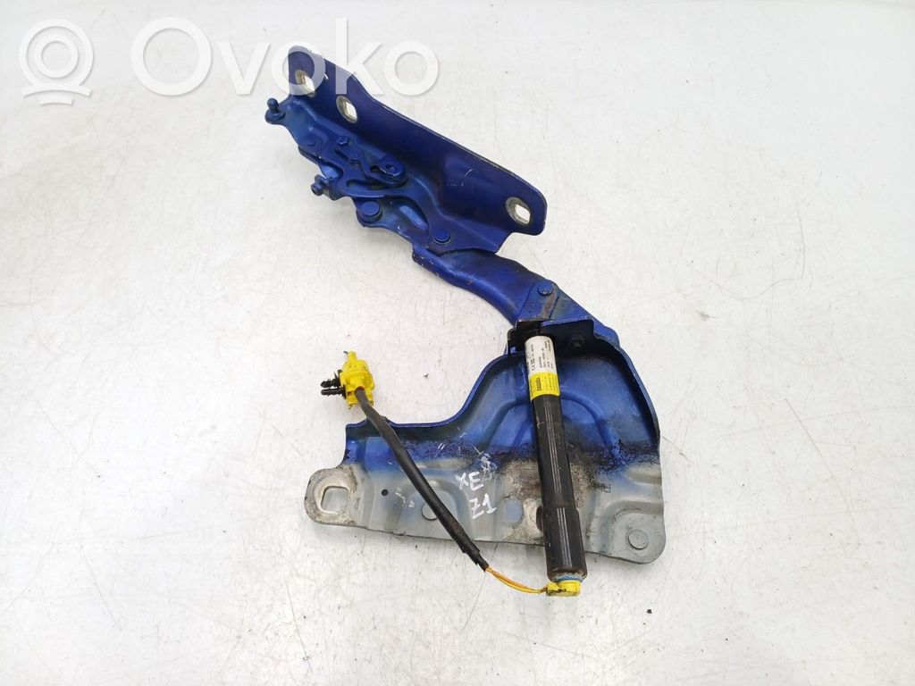 Jaguar XE Cerniere del vano motore/cofano 
