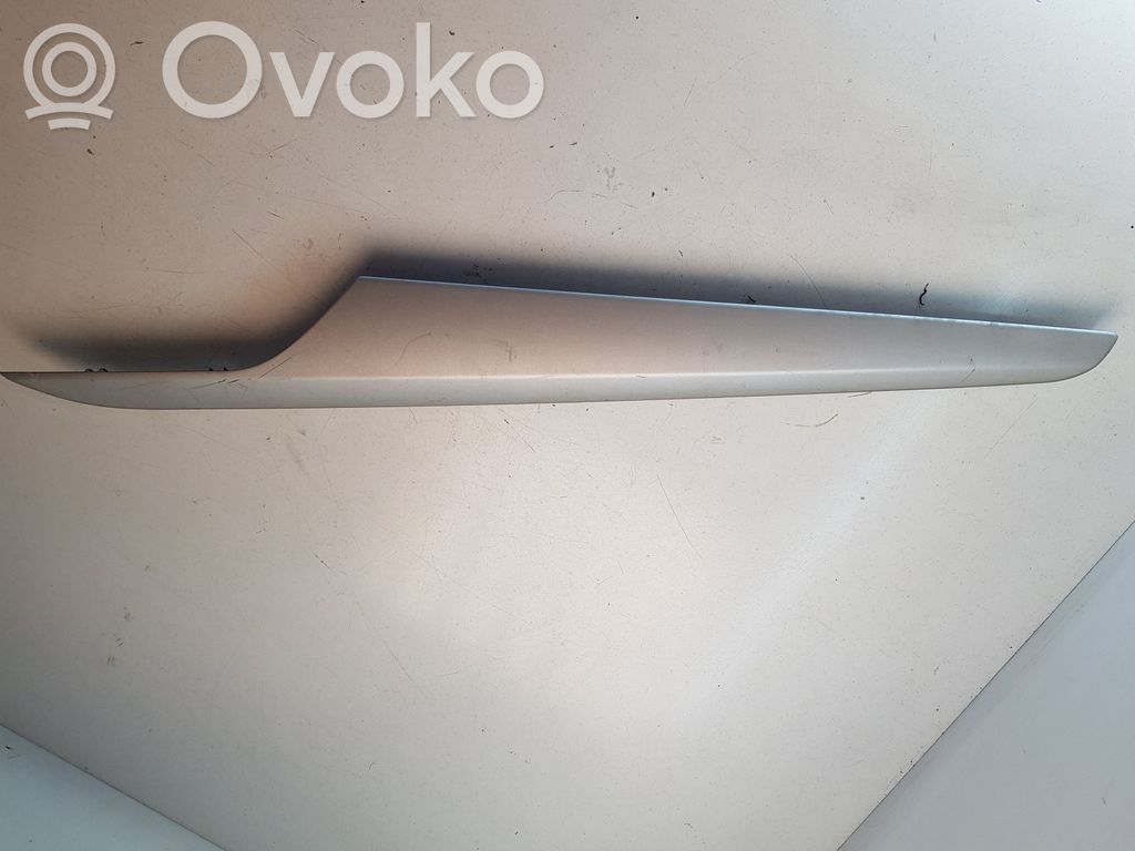 BMW X1 E84 Other rear door trim element 