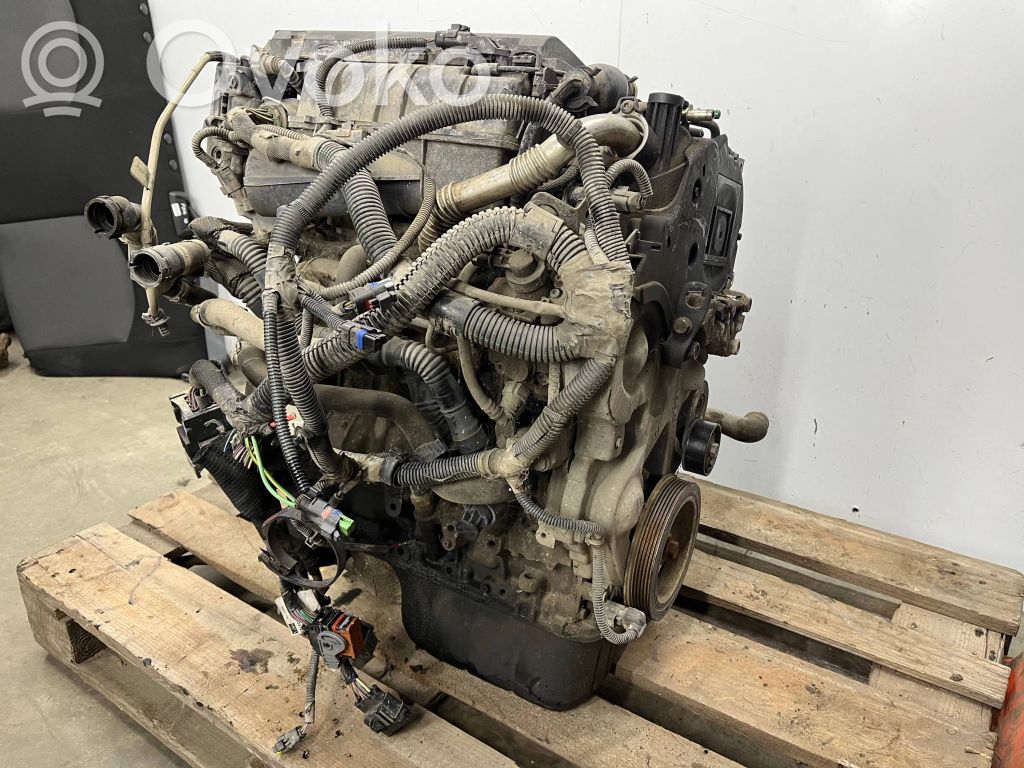 Motor   8HS