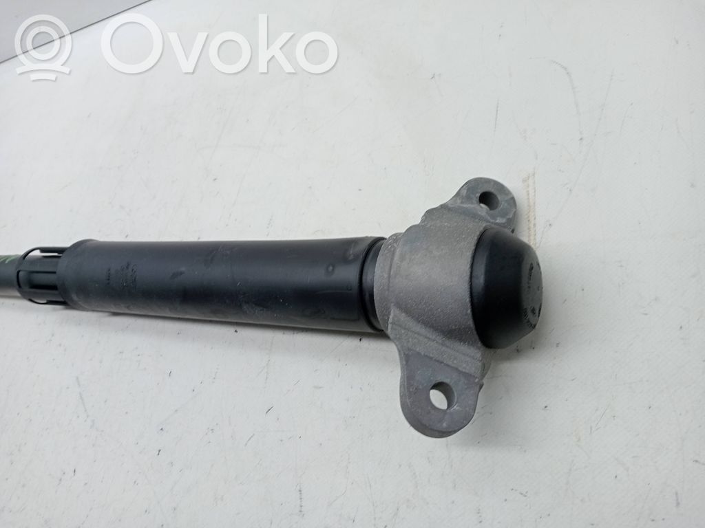 Ford Focus Aizmugurē amortizators 