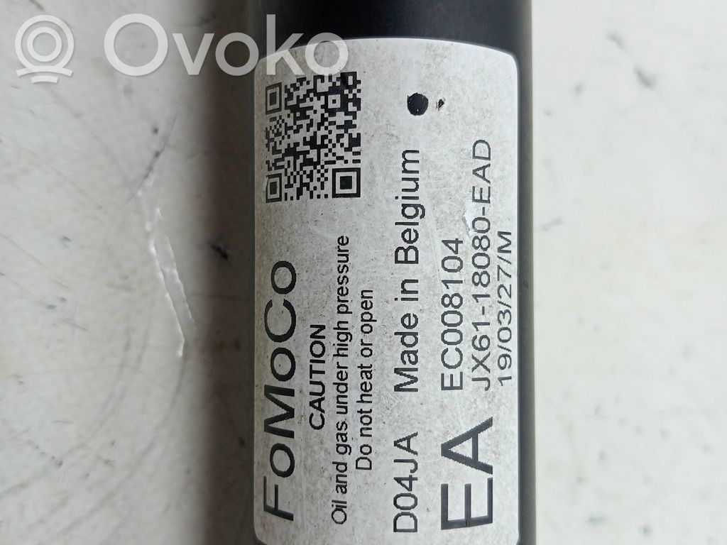 Ford Focus Aizmugurē amortizators 