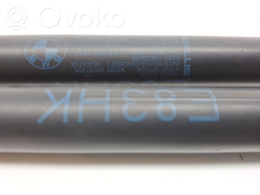 Tailgate/trunk/boot lid buffer   51243400379,E83HK
