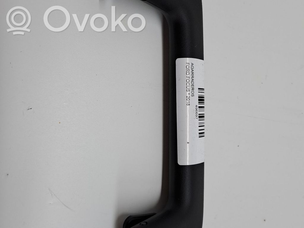 Ford Focus Corrimano (rivestimento superiore) 