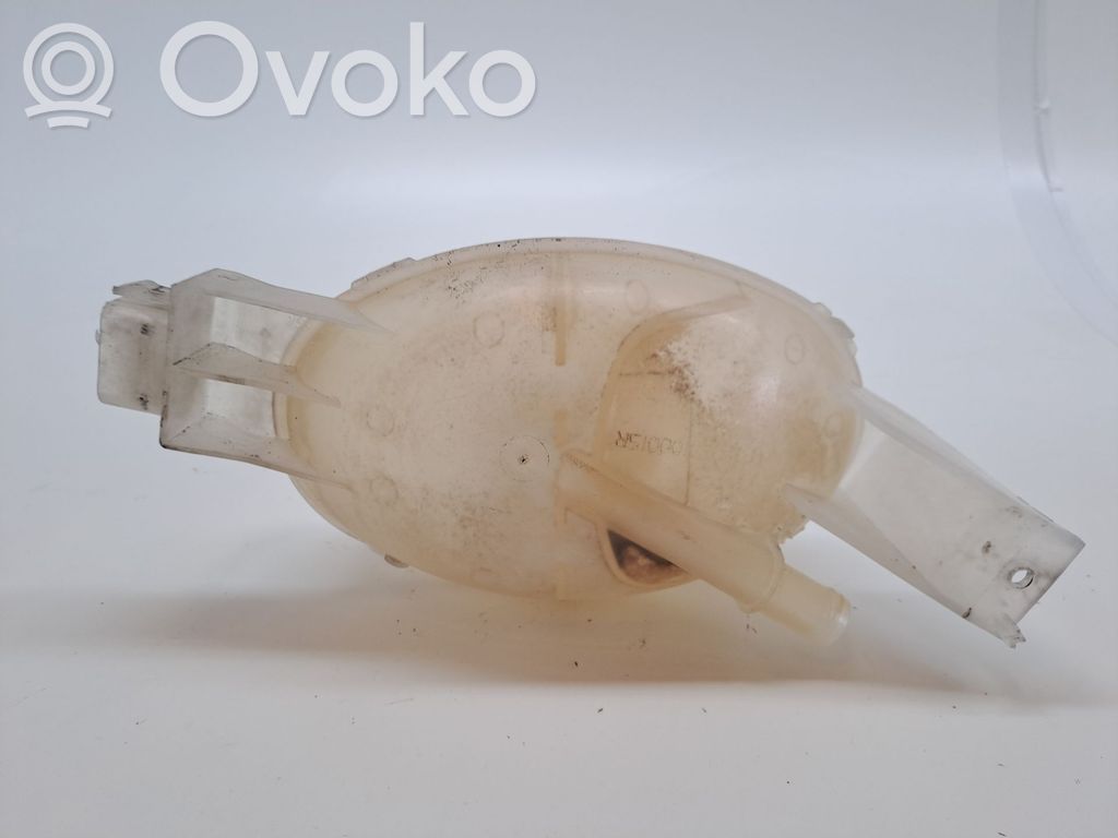Aušinimo skysčio išsiplėtimo bakelis   217100015R