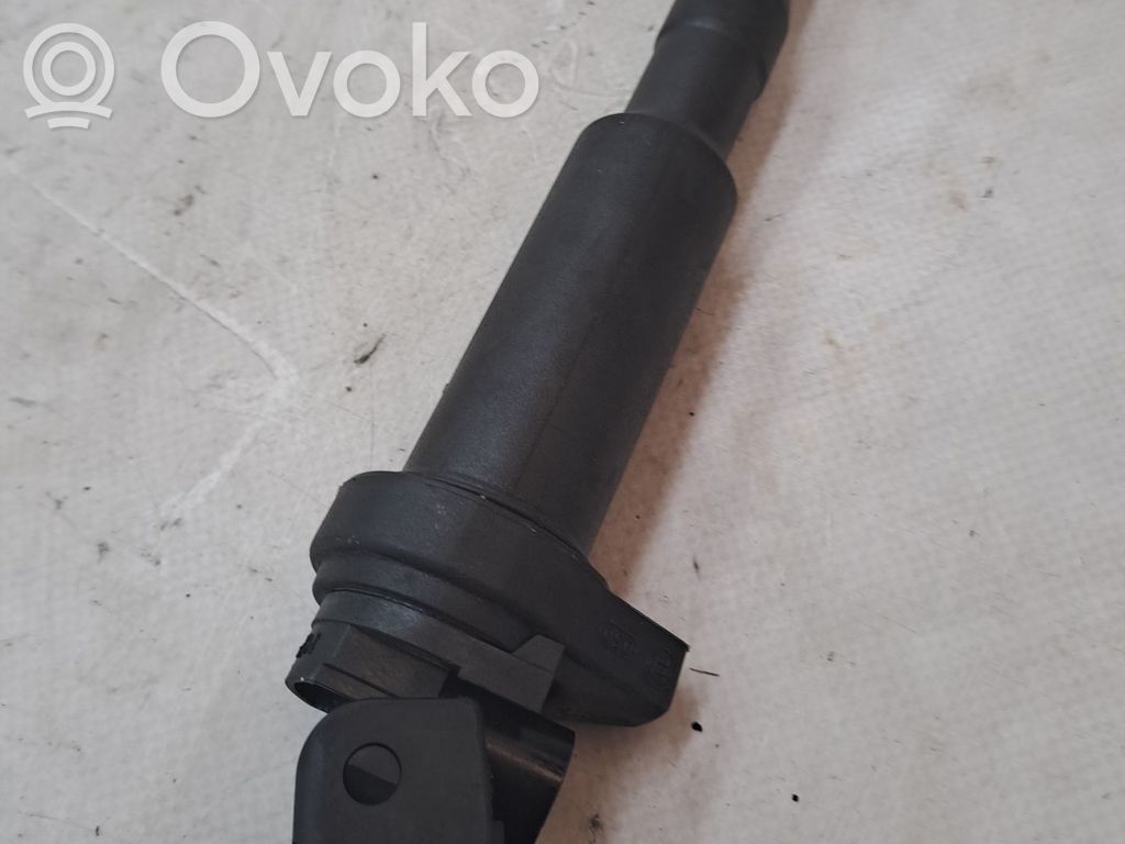 Zündspule Zündmodul   12138657273