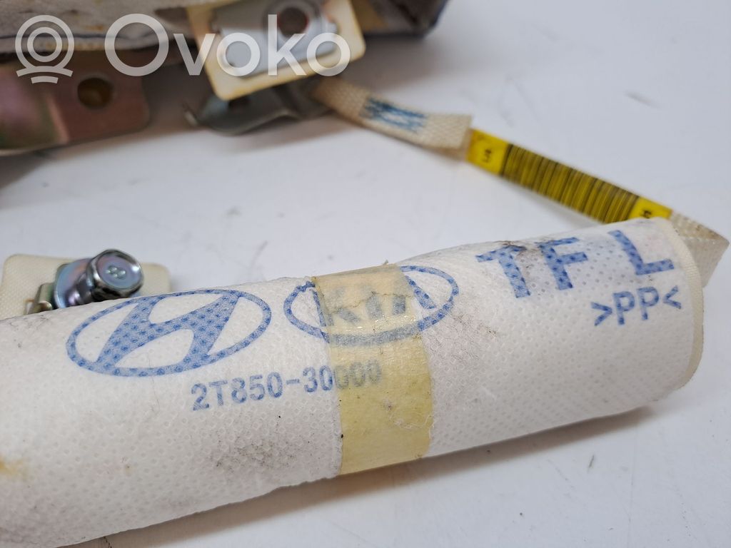 Airbag del techo   850102T000