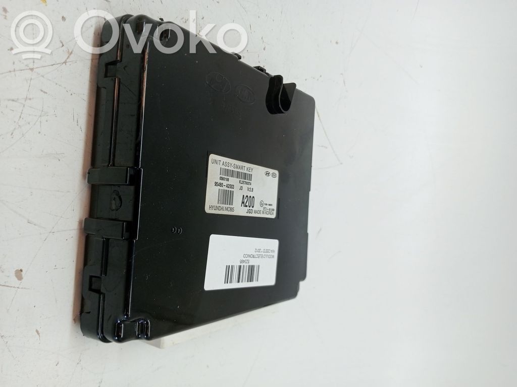 Kėbulo modulis   95480A2003