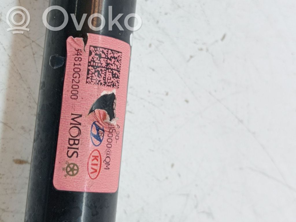 Stabilizators   54810G2000
