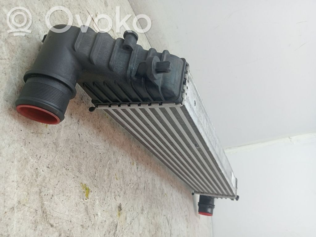 Radiador intercooler   51964106