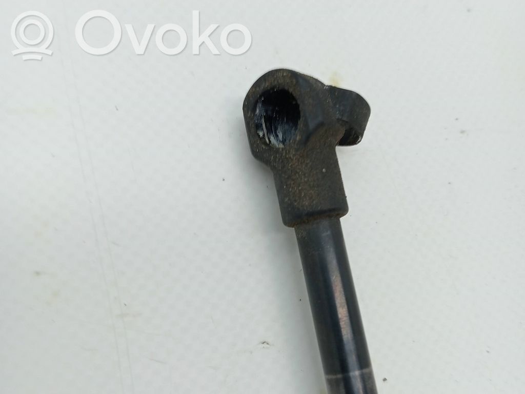 Fiat 500 Tailgate/trunk/boot lid buffer 