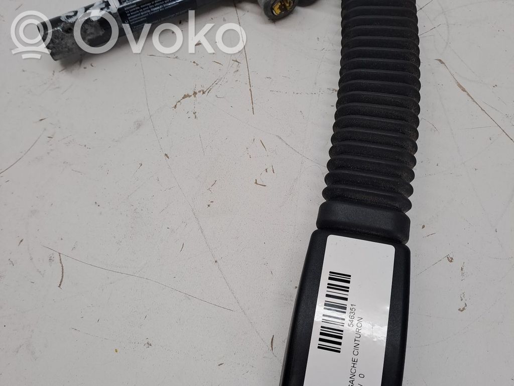 Takaistuimen turvavyön solki   343166010