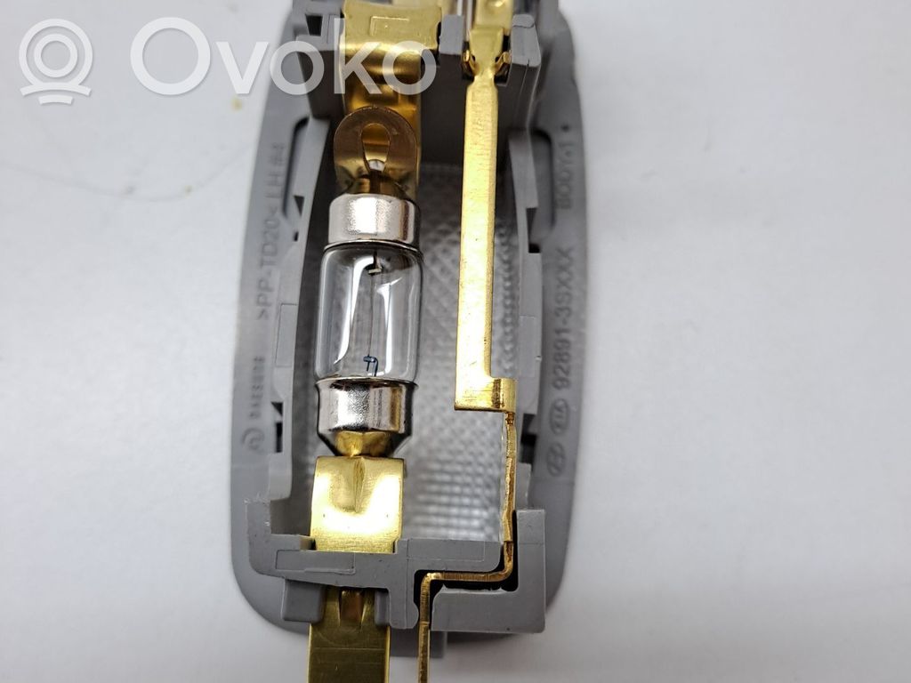 Consola de luz del techo   928913S000