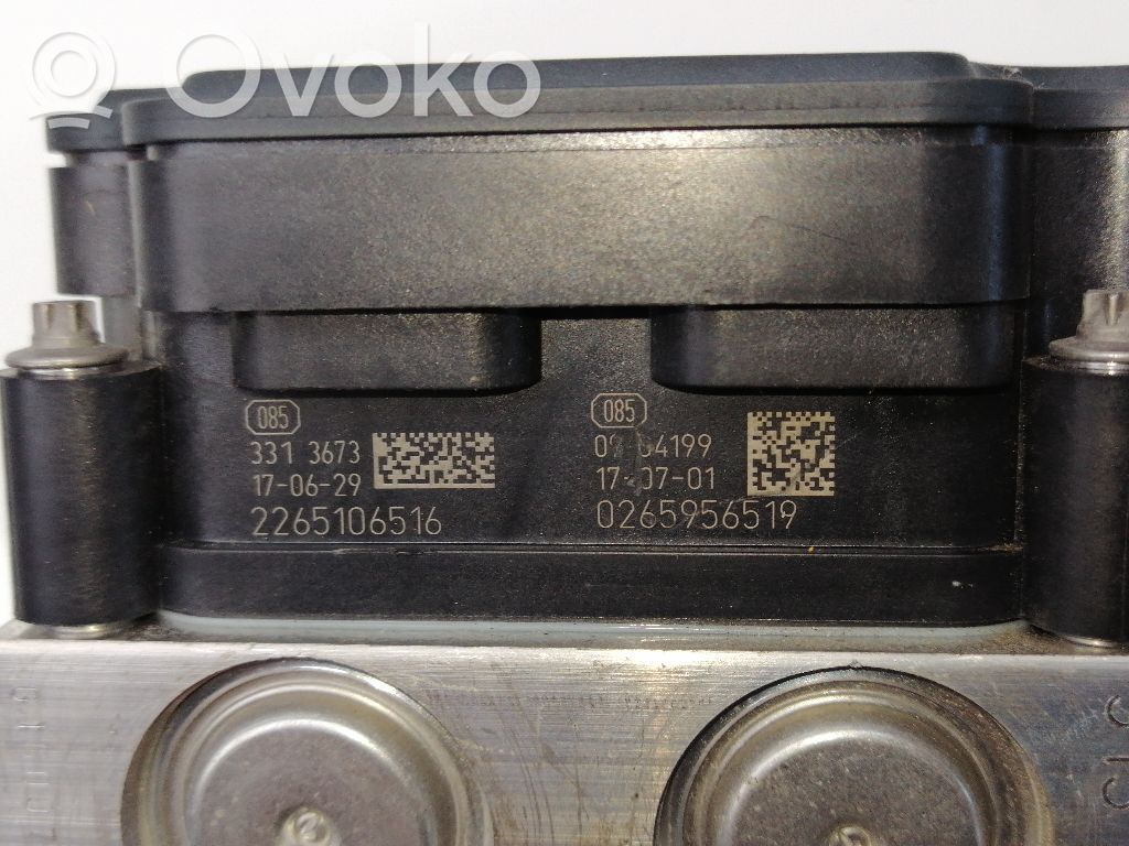 ABS Pump   6000625582,52065547,2265106516