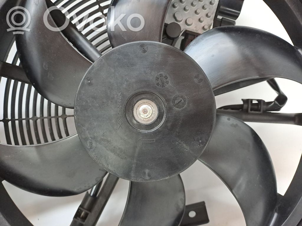 Nissan Leaf I (ZE0) Răcitor furgonete
