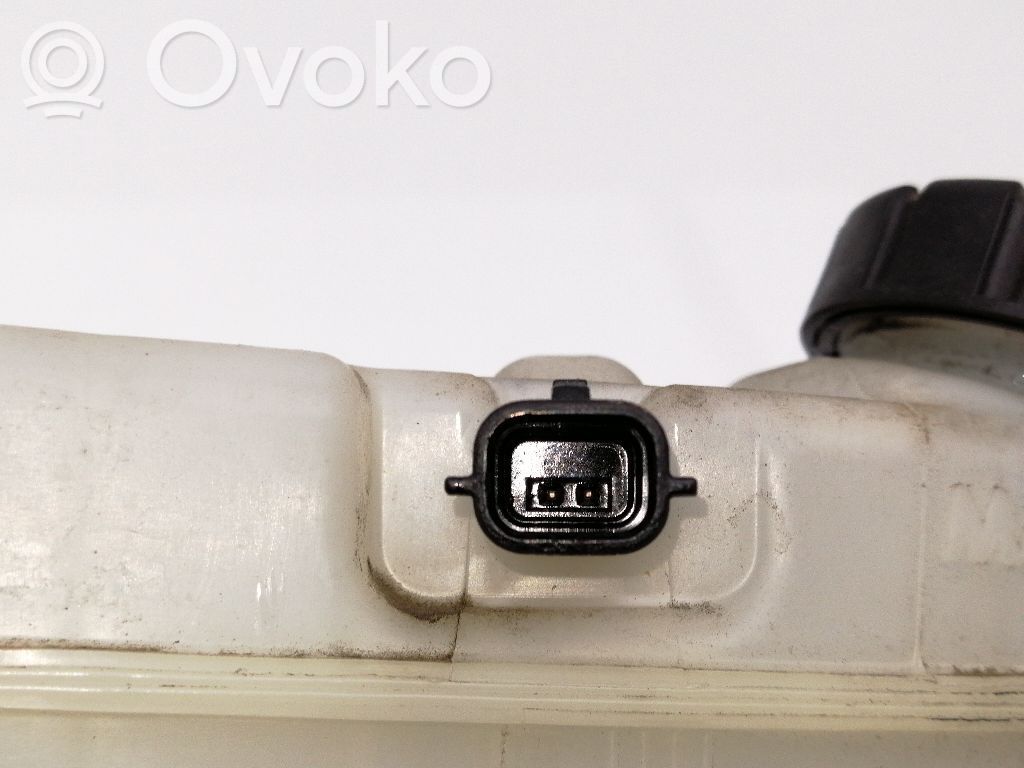 Dacia Sandero Bremskraftverstärker 