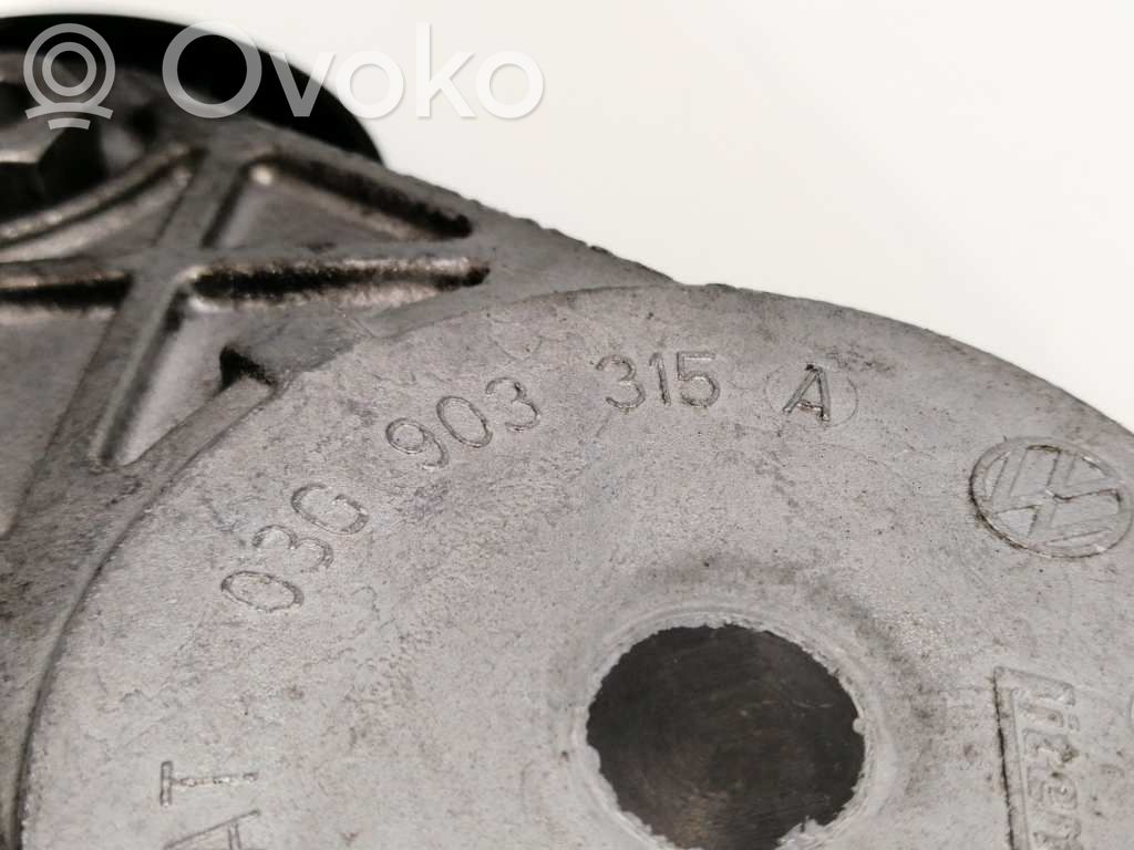 Volkswagen PASSAT B7 USA Tendicinghia generatore/alternatore