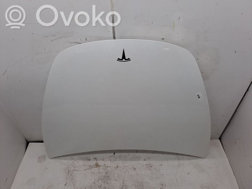 Engine bonnet/hood   1081390E0C