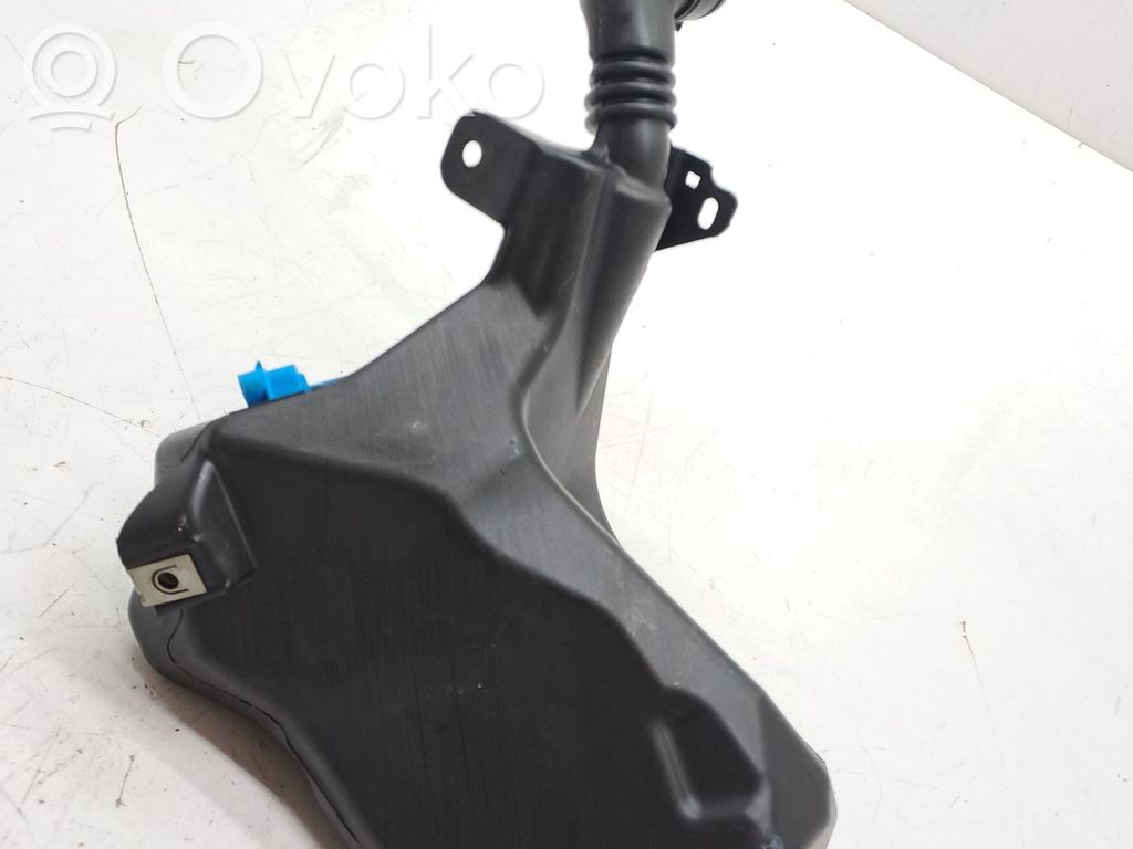Serbatoio/vaschetta liquido lavavetri parabrezza   109606200F