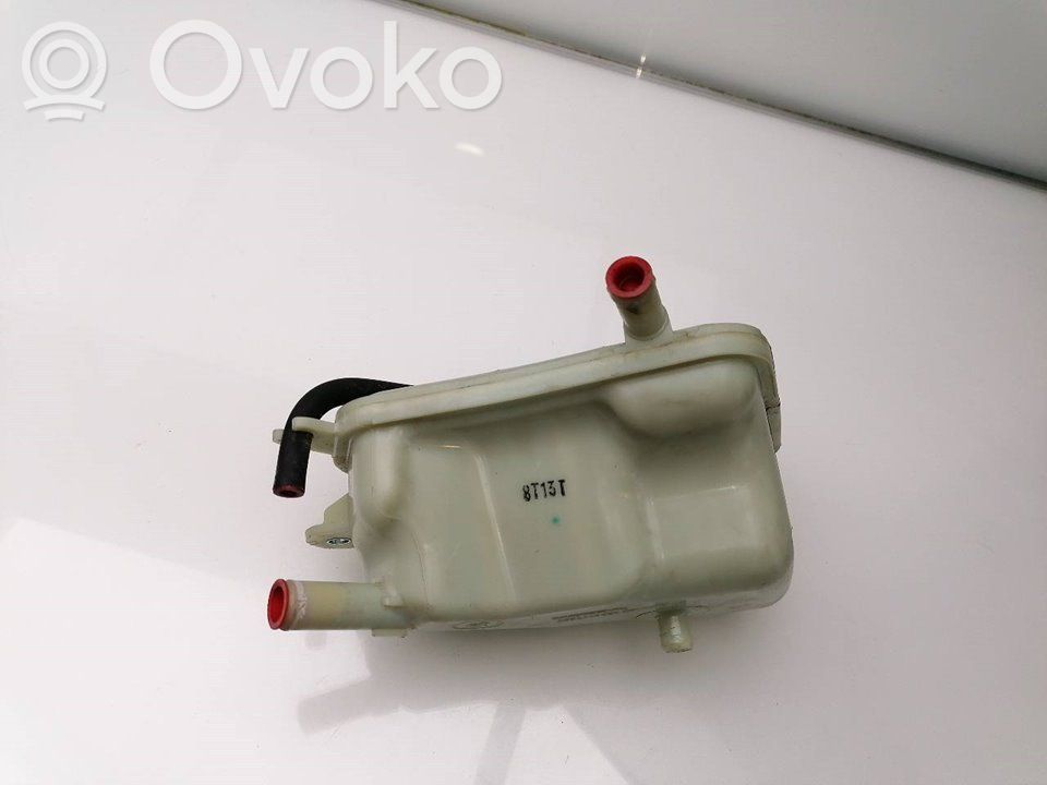 Depósito del refrigerante   191015AAK01