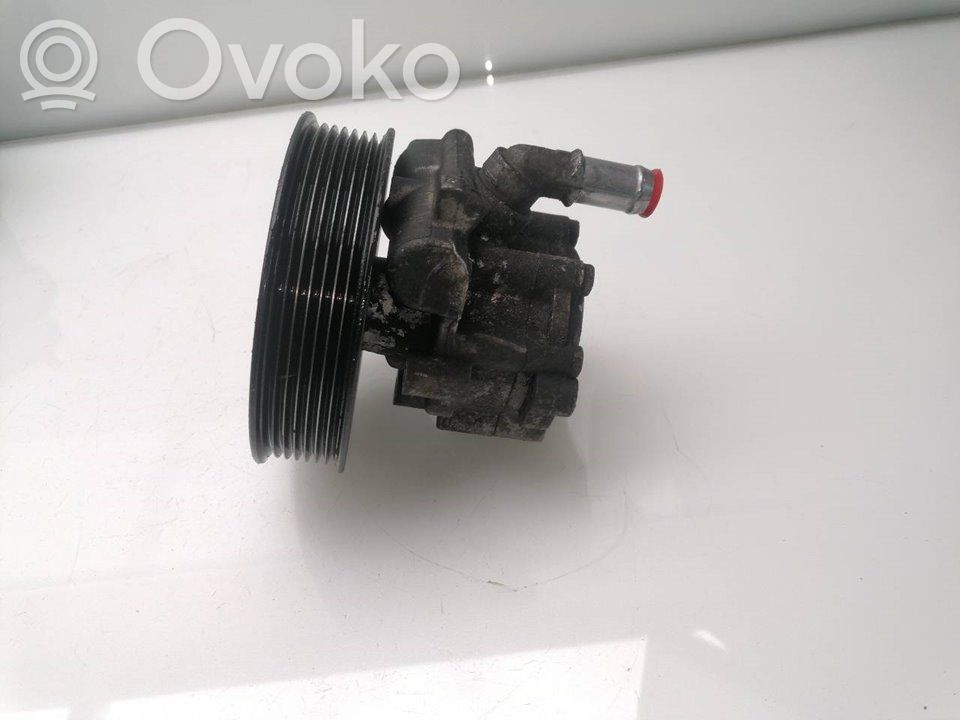 Ohjaustehostimen pumppu   491101050R