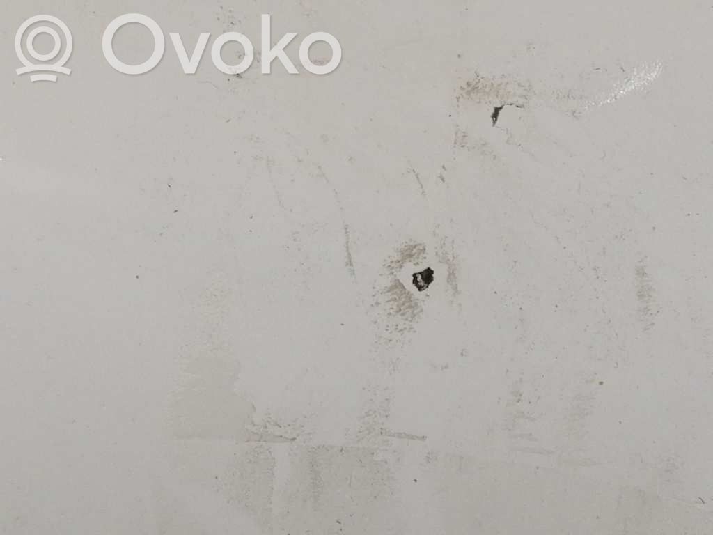 Dzinēja pārsegs (vāks)   YC1516612BD,4754207