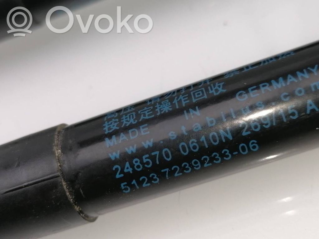 BMW 4 F32 F33 Ammortizzatore portellone anteriore/cofano 