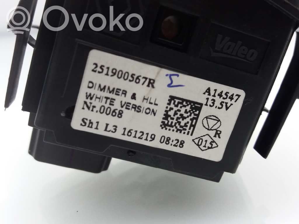 Interruptor de luz   251900567R