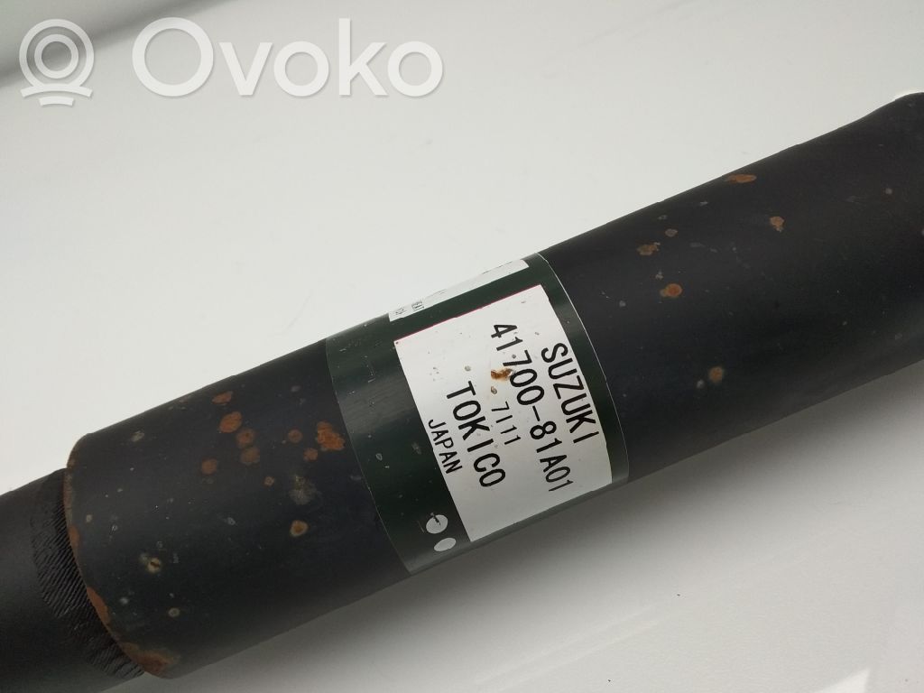 Takaiskunvaimennin   4170081A01