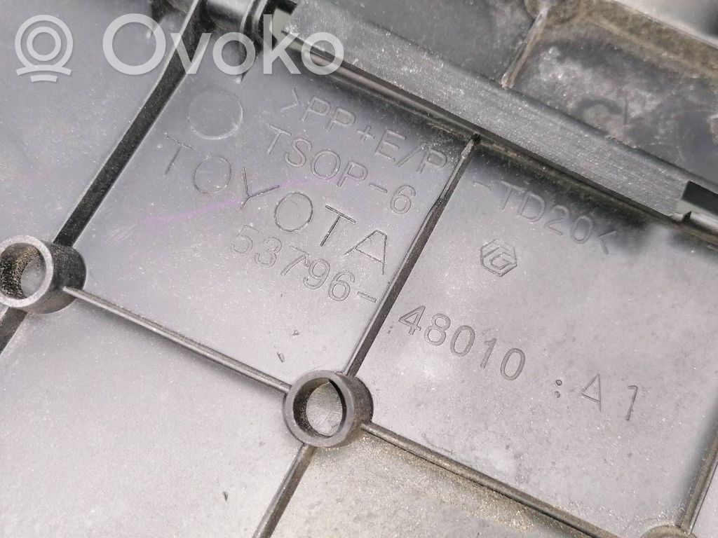 Moldura del panel   5379648020,5379648010,5379648050