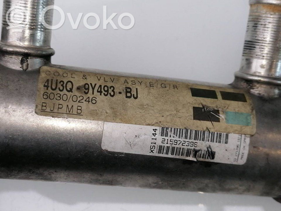 Peugeot 607 Răcitor supapă EGR 