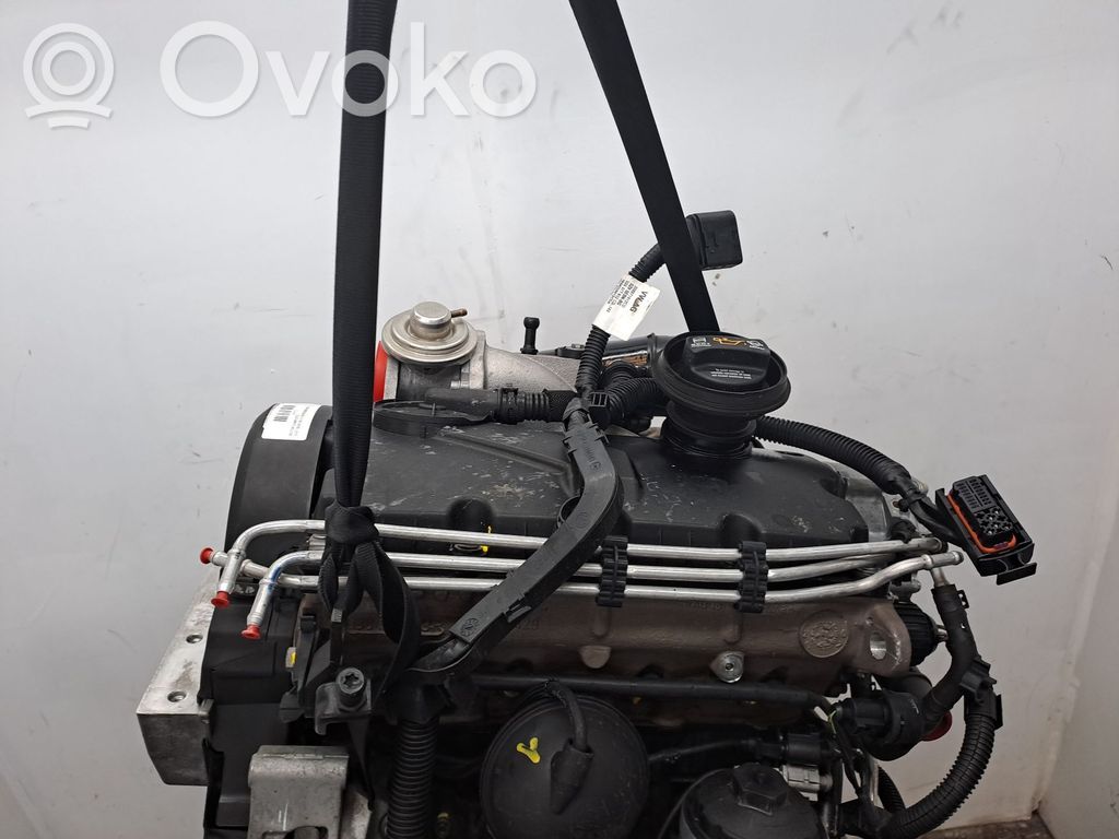 Seat Ibiza III (6L) Motore completo 