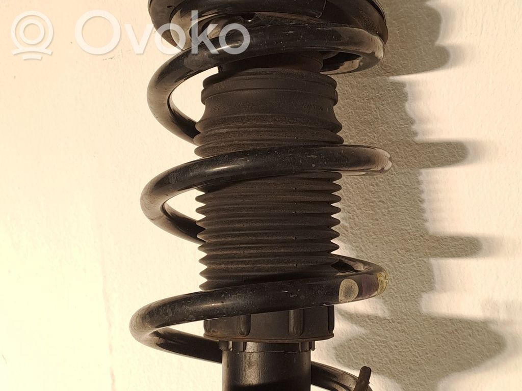 Amortyzator przedni   5208L4,5038F4,50707867