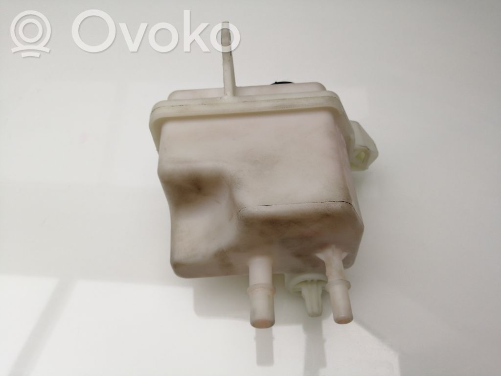 Fiat Ducato Serbatoio/vaschetta del liquido del servosterzo