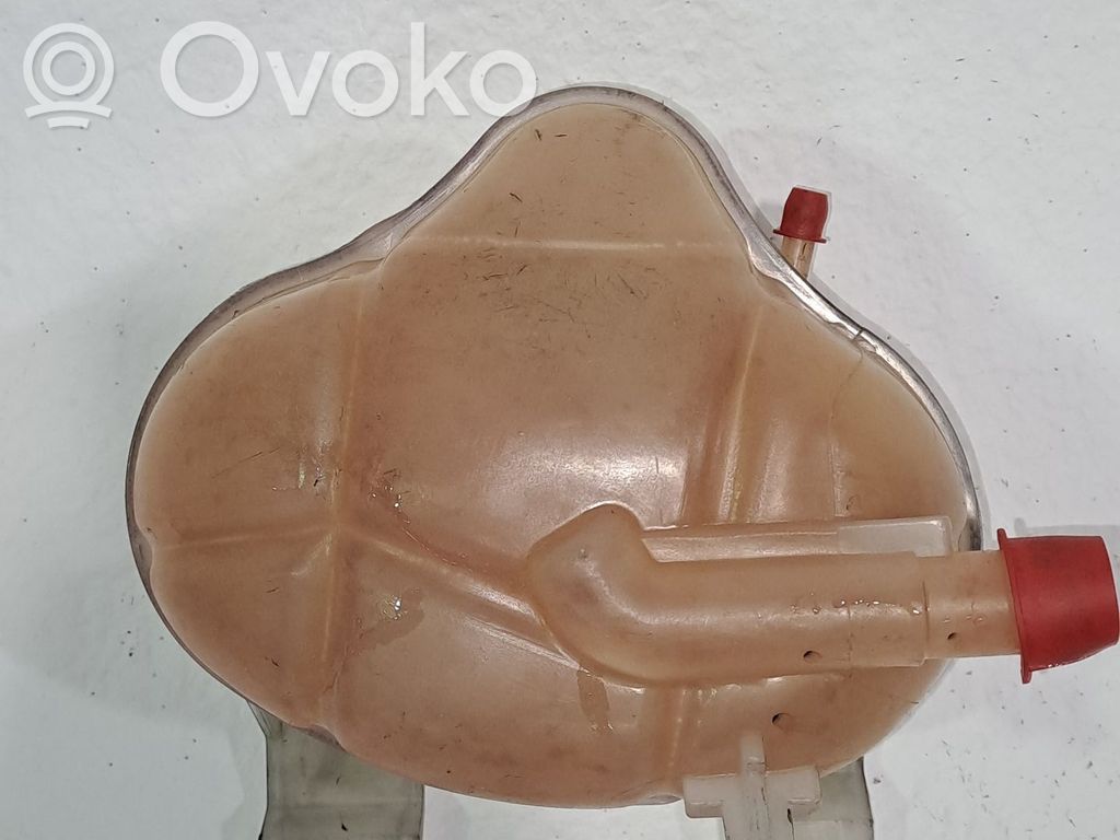 Fiat Punto (199) Serbatoio di compensazione del liquido refrigerante/vaschetta 