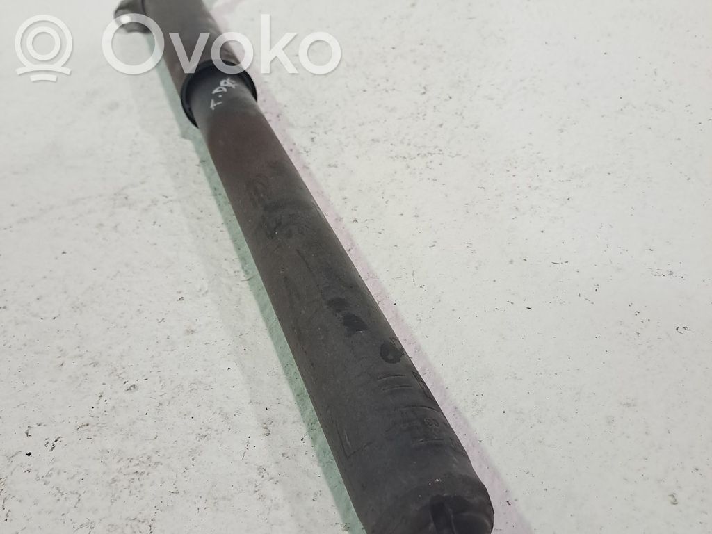 Stoßdämpfer hinten   1880579,BV6118080LAB