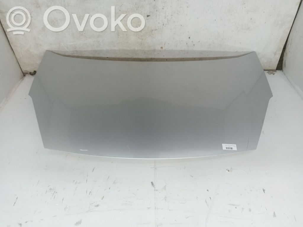 Motorhaube   7901P7