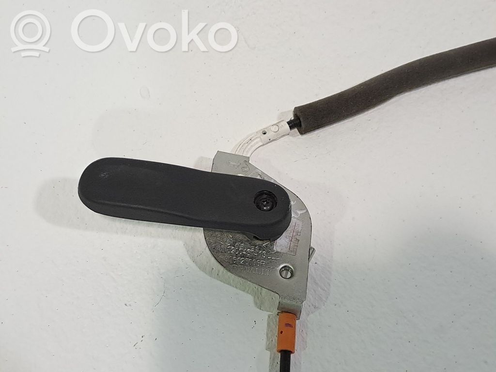 Manecilla interna puerta trasera   906125006R