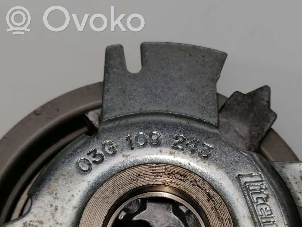 Volkswagen PASSAT B7 USA Tendicinghia generatore/alternatore