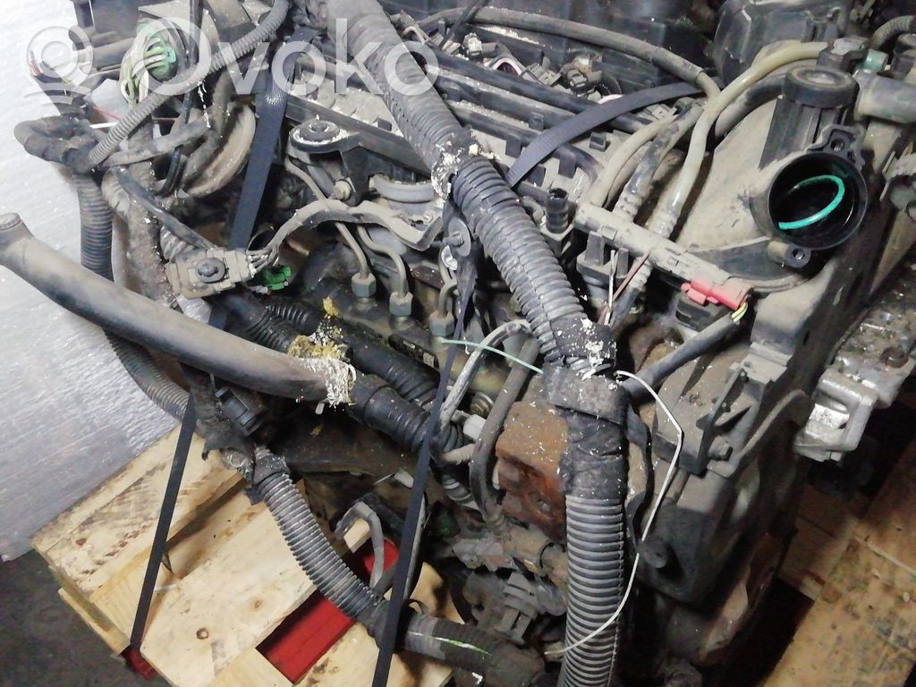 Peugeot 206 Austauschmotor 